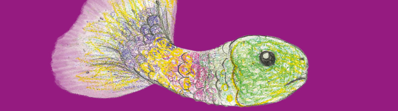 Stückbild des Stückes Zauberfisch und Büchertisch