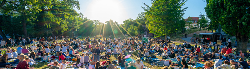 Stückbild des Stückes Feel the Love Tonight - Best of Musical and Movie